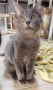 Berlioz (2)